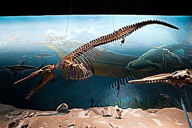 有分析认为TGA提名已经带动了多款游戏销量增长